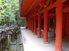 DSCN4787