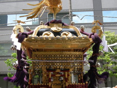 DSCN4570