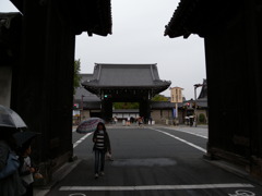 DSCN4934