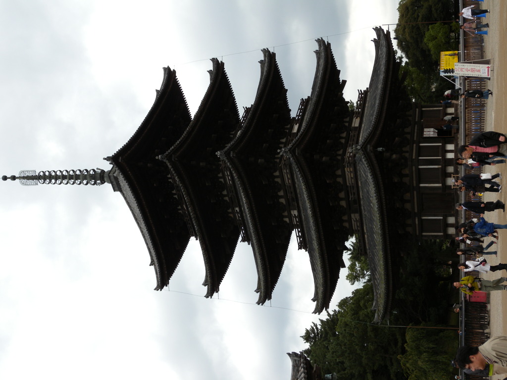 DSCN4799