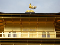 DSCN4876