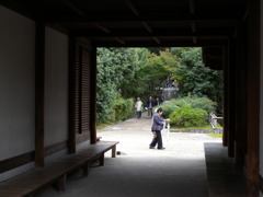 DSCN4770