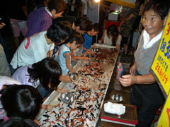 DSCN4642
