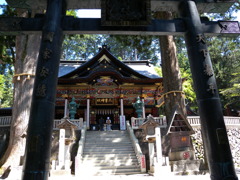 DSCN4685