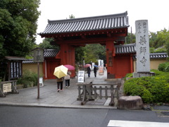 DSCN4744