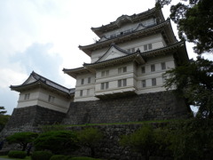DSCN4732