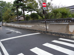 DSCN4745