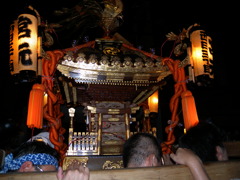 DSCN4646
