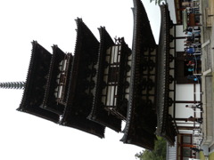 DSCN4752