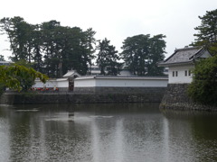 DSCN4716