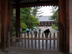 DSCN4760