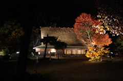 ライトアップ白川郷