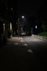 夜の散歩道