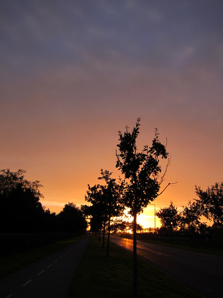 tønder 10月の夕日