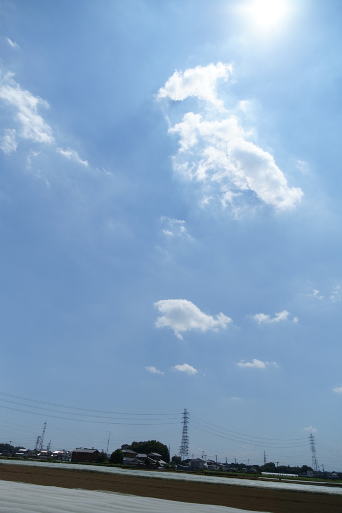 日差し