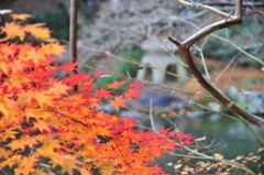 成田山