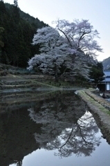 よく写って