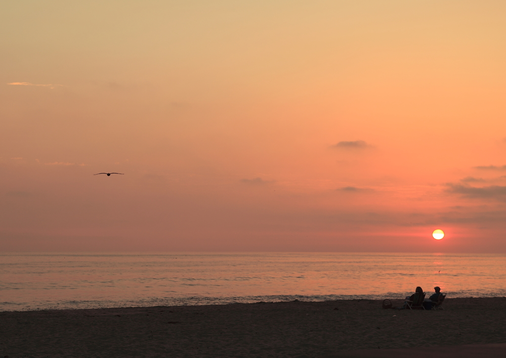 Sunset hunters
