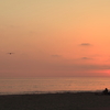Sunset hunters
