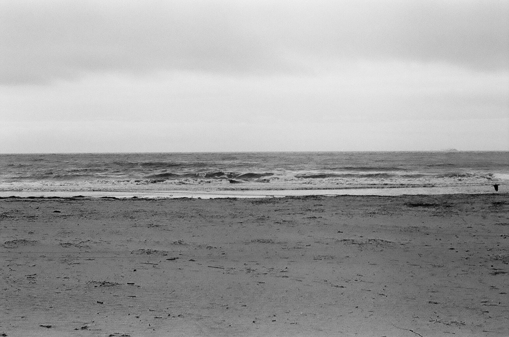 film