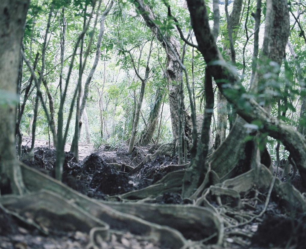 film