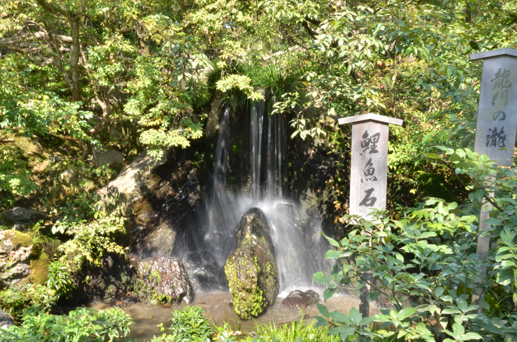 鯉魚石