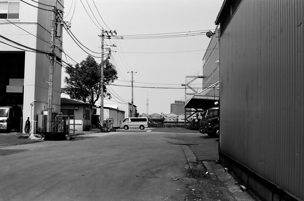 film monochrome