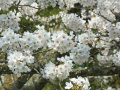 RIMG0143