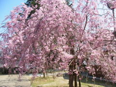 米子　湊山公園