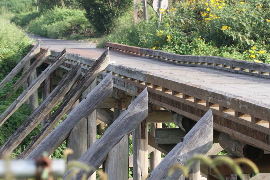 木の橋