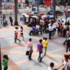 P4301520