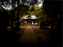 代々木八幡