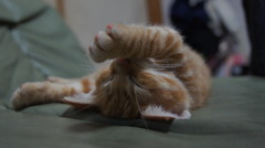 うにゃにゃ寝
