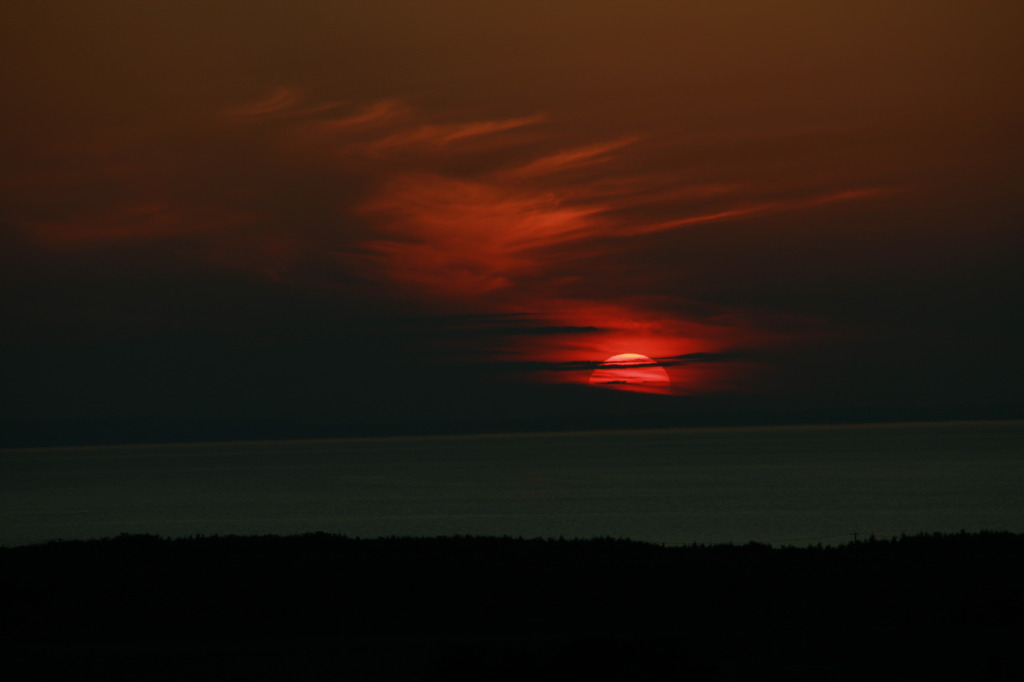 夕日が背中をおしてくる