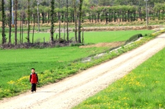 春の通学路