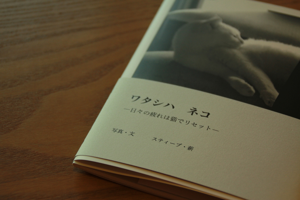 処女作。