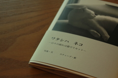 処女作。