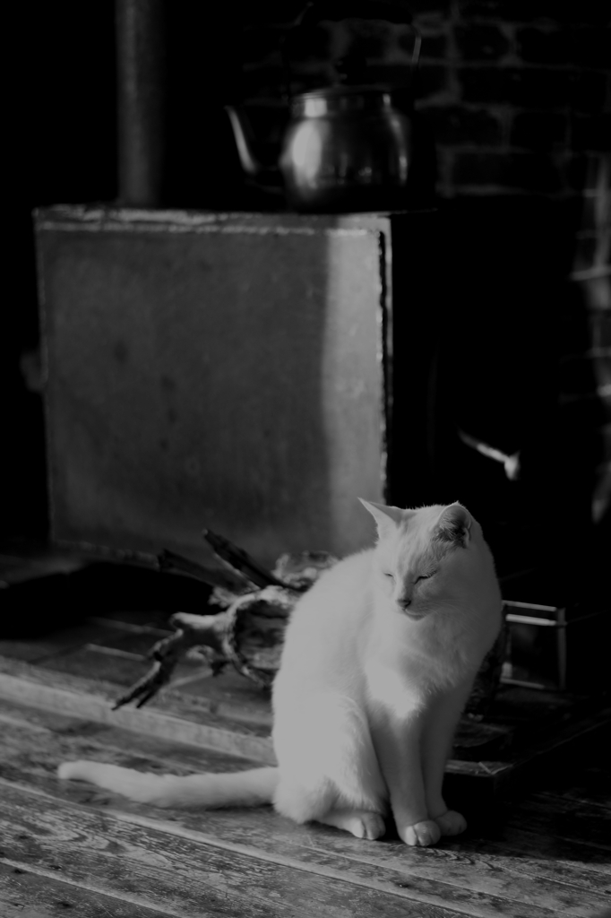 ストーブと猫　Ⅰ