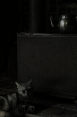 猫とヤカンとストーブ