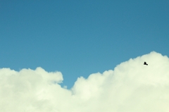 僕は　君がために　空を飛ぶ