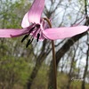 2011.GW 那須塩原にて