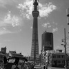 IMG_0539