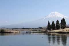 田貫湖からの富士山