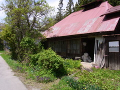 R0010650