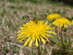 R0010655