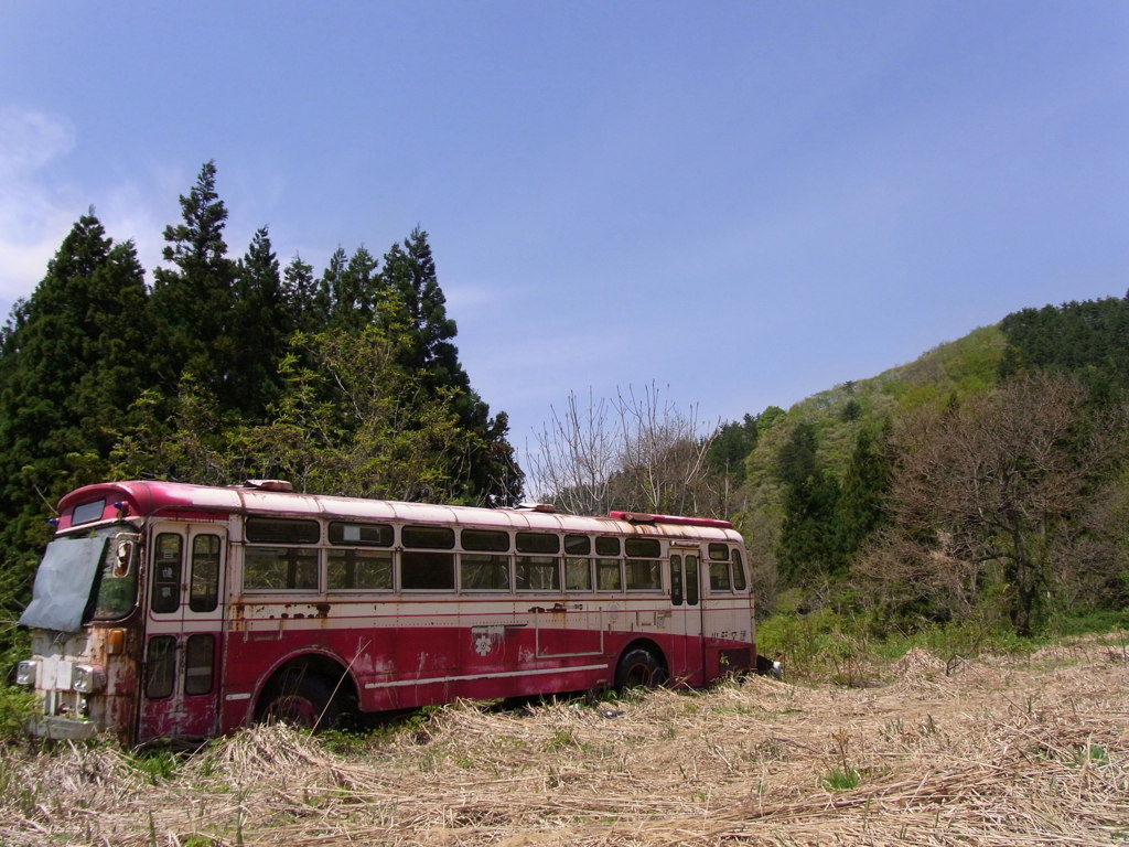 空と廃バス