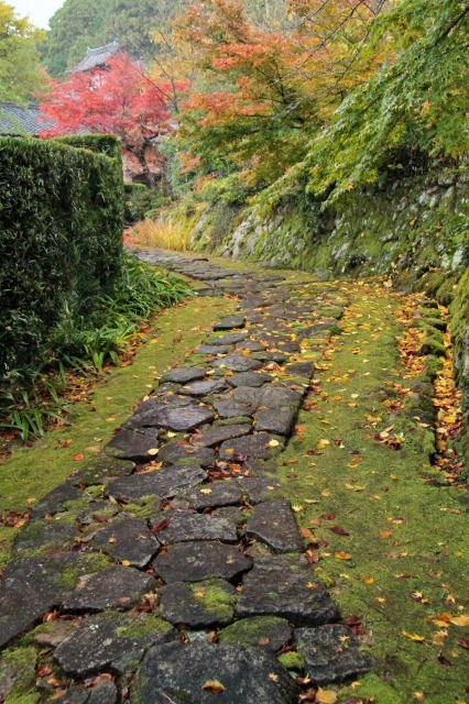 石畳の参道