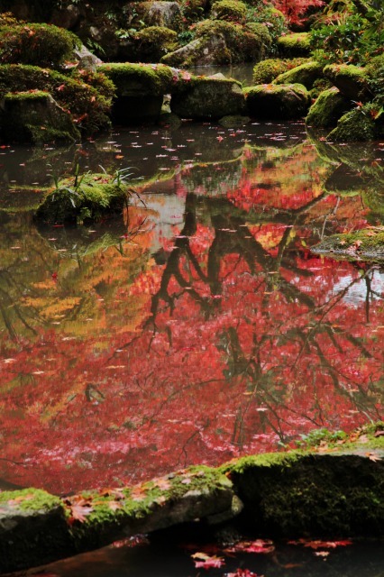 紅葉