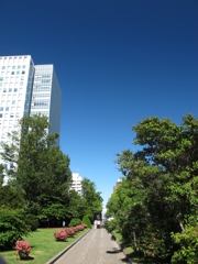 本日快晴