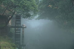 原風景　2012　夏